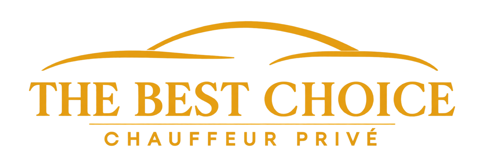 Logo The Best Choice VTC